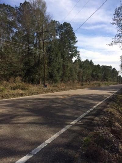 Lee Rd- Hwy 437, Covington, LA for sale Primary Photo- Image 1 of 15