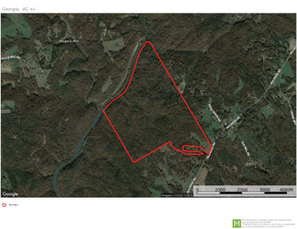 More details for Pea Ridge Rd, Lula, GA - Land for Sale