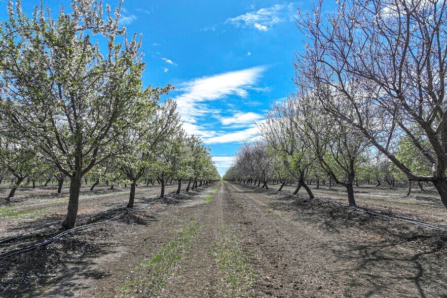 W. Mt. View Avenue, Cantua Creek, CA for sale - Building Photo - Image 2 of 12