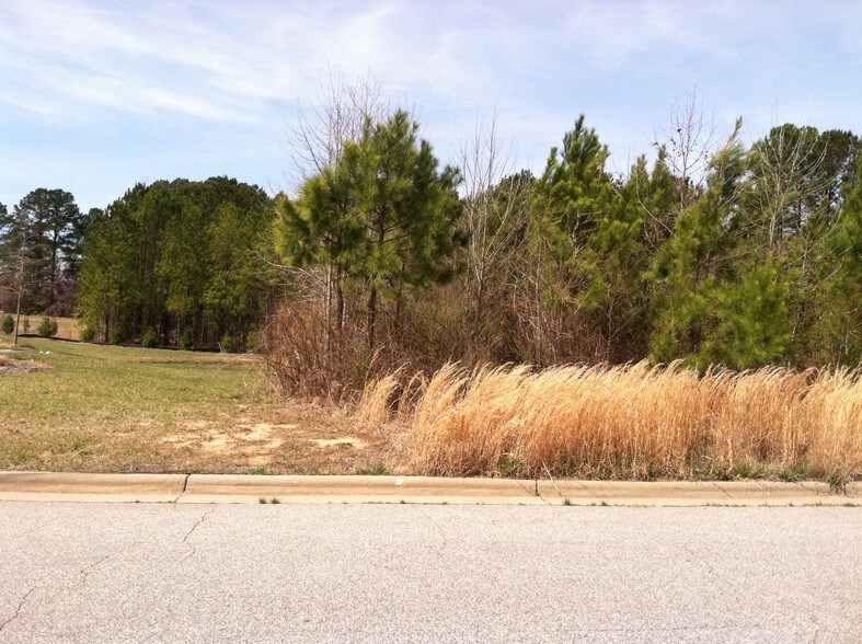 1376 Ruin Creek Rd, Henderson, NC for sale - Other - Image 2 of 5