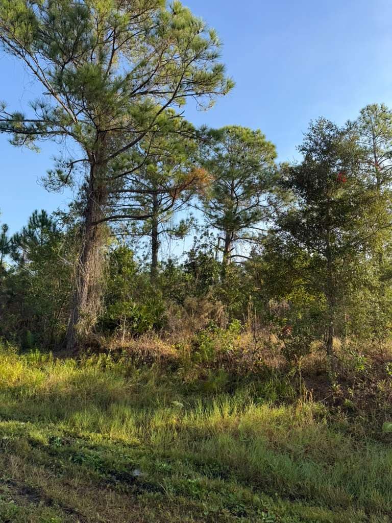 8024 Cabo dr, Sebring, FL à vendre Photo principale- Image 1 de 2