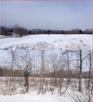 Plus de détails pour 2500 VT-66, Randolph Center, VT - Terrain à vendre