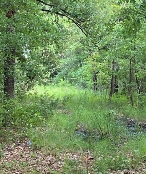 Terrain dans Kemp, TX à vendre - Photo du bâtiment - Image 3 de 3