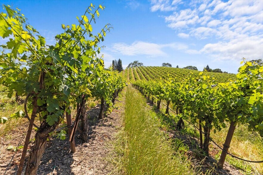 13404 Flora Ranch Rd, Healdsburg, CA à vendre - Autre - Image 3 de 16
