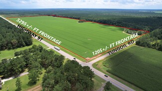 Plus de détails pour 5000 Blk Highway 97 hwy, Walnut Hill, FL - Terrain à vendre