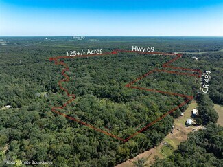 Plus de détails pour 00 Hwy 69/CR 484 hwy, Mineola, TX - Terrain à vendre