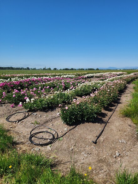 35730 Highway 20 SE, Albany, OR à vendre - Photo du bâtiment - Image 3 de 27