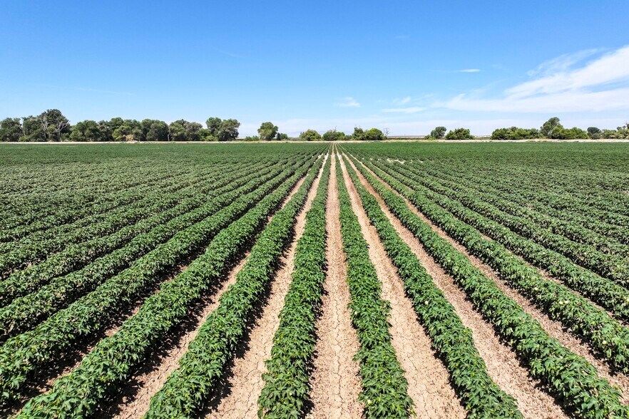 23001 Lacey Boulevard, Lemoore, CA for sale - Building Photo - Image 2 of 18