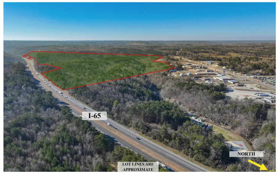 0 County Road 216, Hanceville, AL à vendre - Aérien - Image 2 de 4