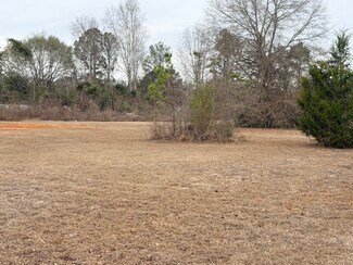 Plus de détails pour 1610 E Commerce St, Greenville, AL - Terrain à vendre