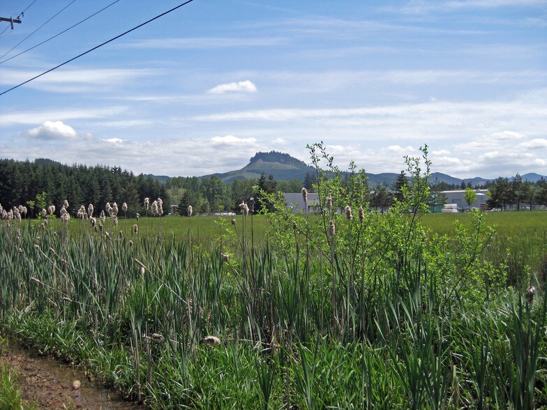 Sweet Lane & Talemena Dr, Cottage Grove, OR à vendre - Photo du bâtiment - Image 3 de 15