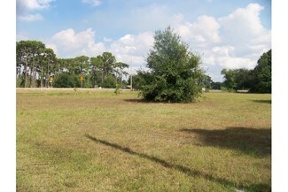 Plus de détails pour 14200 SR 64 E, Bradenton, FL - Terrain à vendre