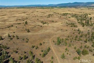 Plus de détails pour Old Highway Road, Mcarthur, CA - Terrain à vendre