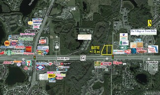 More details for SR 54 and Livingston Rd, Land O Lakes, FL - Land for Sale