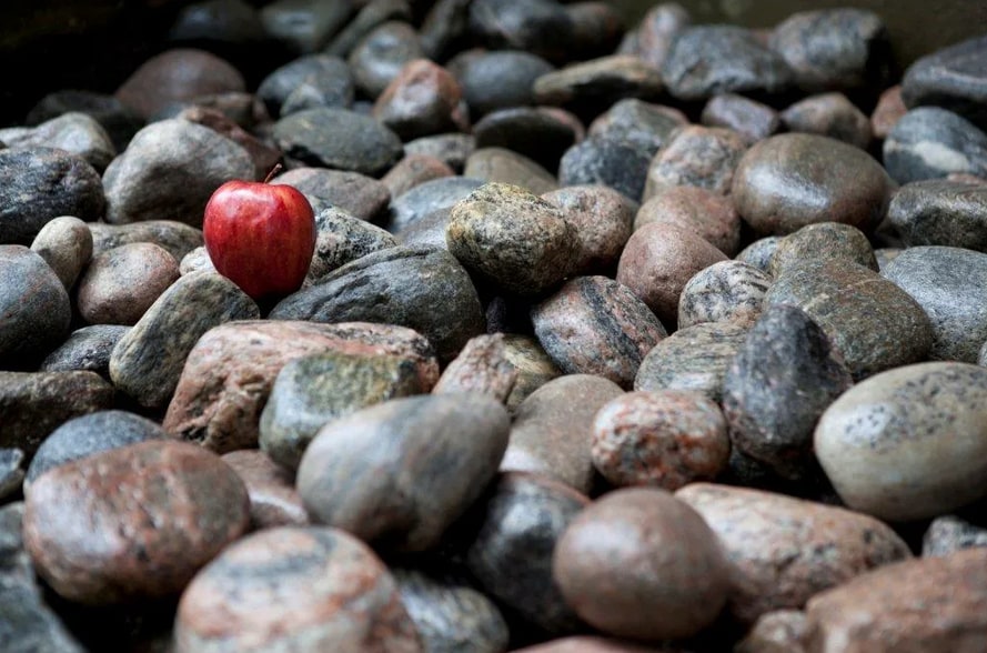 428 Moxam Rd, Maynooth, ON for sale - Other - Image 2 of 14