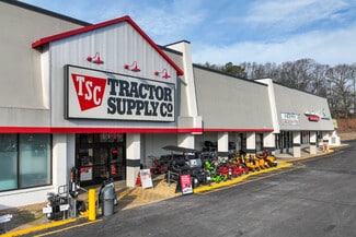 More details for 3073-3187 Highway 431, Roanoke, AL - Retail for Lease