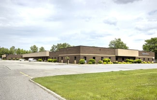 More details for 12428-12462 Plaza Dr, Parma, OH - Flex for Lease
