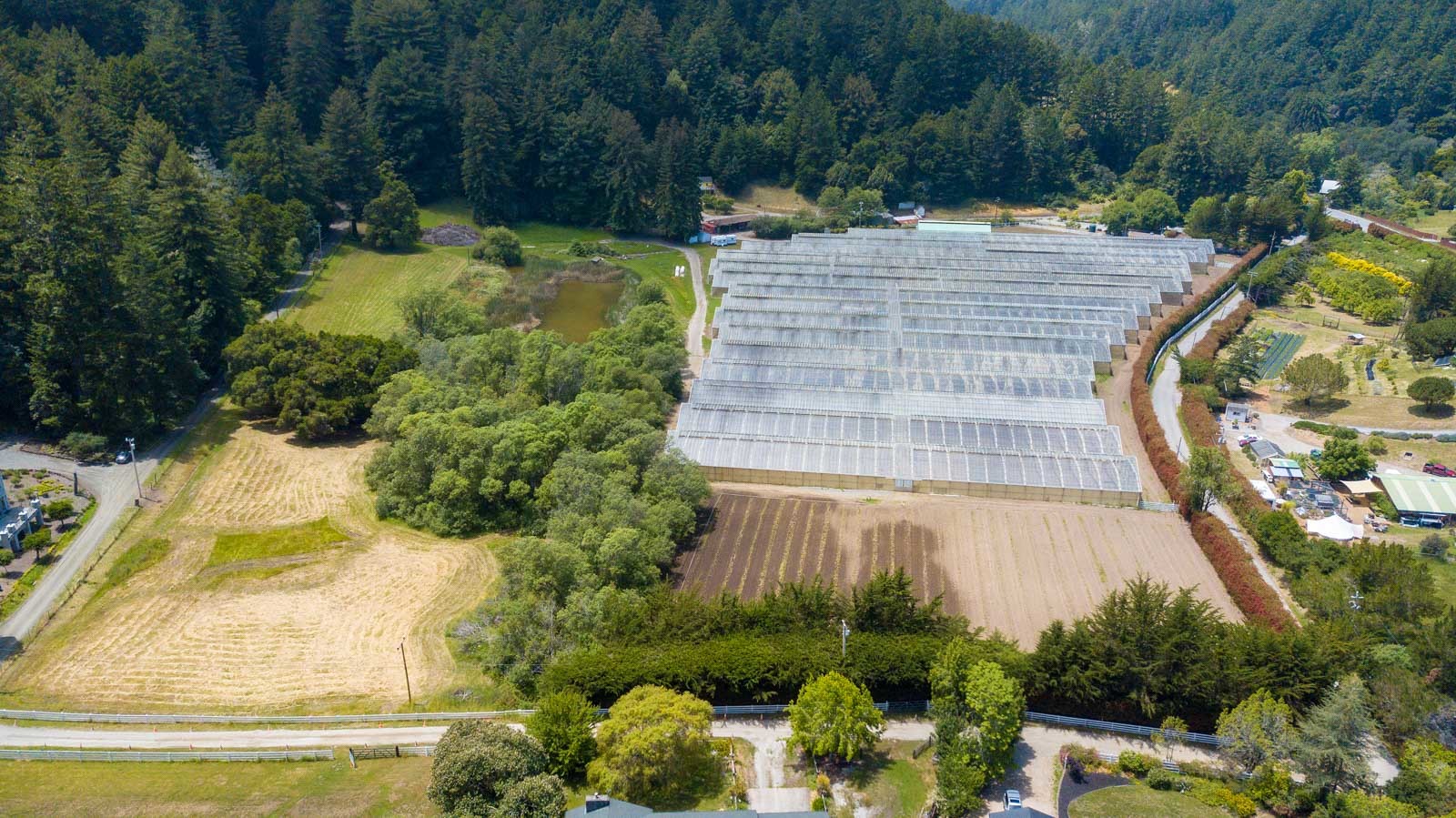 50 Dearborn Park Rd, Pescadero, CA for sale Primary Photo- Image 1 of 1