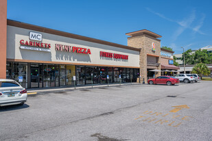 Carrollwood Retail Center - NNN Property