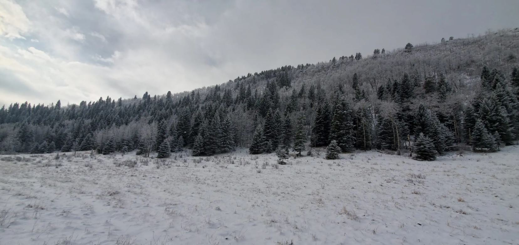 Alberta 532, Longview, AB à vendre Autre- Image 1 de 1