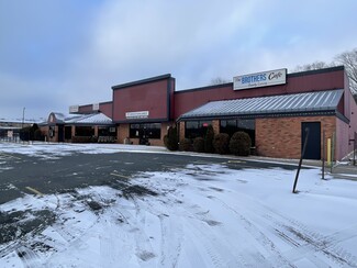 Plus de détails pour 1006 Commercial Dr, Buffalo, MN - Vente au détail, Industriel à louer