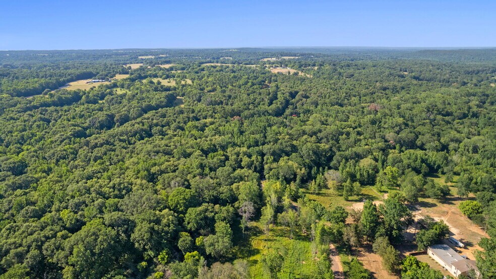 10651 County Road 41, Lindale, TX à vendre - Photo du bâtiment - Image 3 de 21