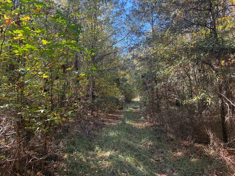 793 Puncheon Creek Dr, Andrews, SC à vendre - Photo du bâtiment - Image 2 de 12