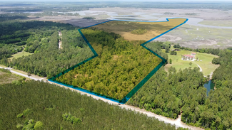 Plus de détails pour 0 Harris Neck rd, Townsend, GA - Terrain à vendre