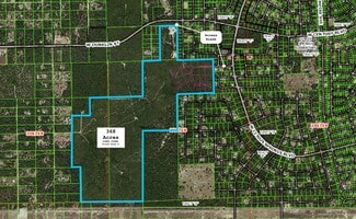 Plus de détails pour 7759 Freemantle Way, Dunnellon, FL - Terrain à vendre