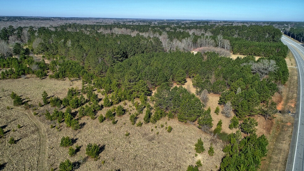 Lot 7 Hwy 74 S, Senoia, GA à vendre - Aérien - Image 3 de 11