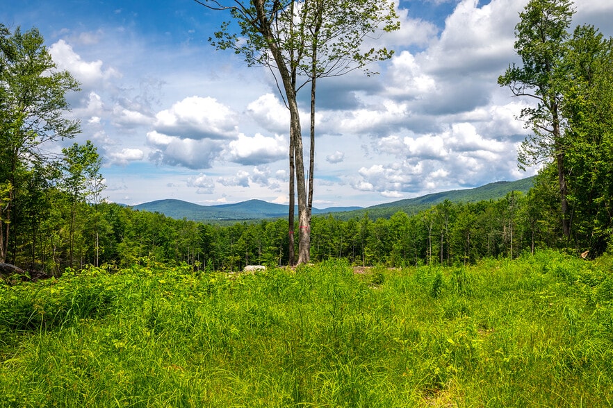0 Little Pond Road, Andover, VT for sale - Other - Image 1 of 11