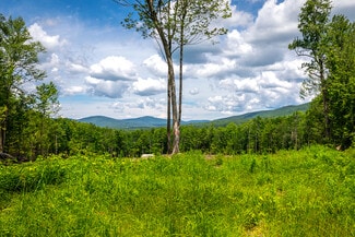More details for 0 Little Pond Road, Andover, VT - Land for Sale