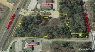 Plus de détails pour 3315 S Loop 256, Palestine, TX - Terrain à vendre