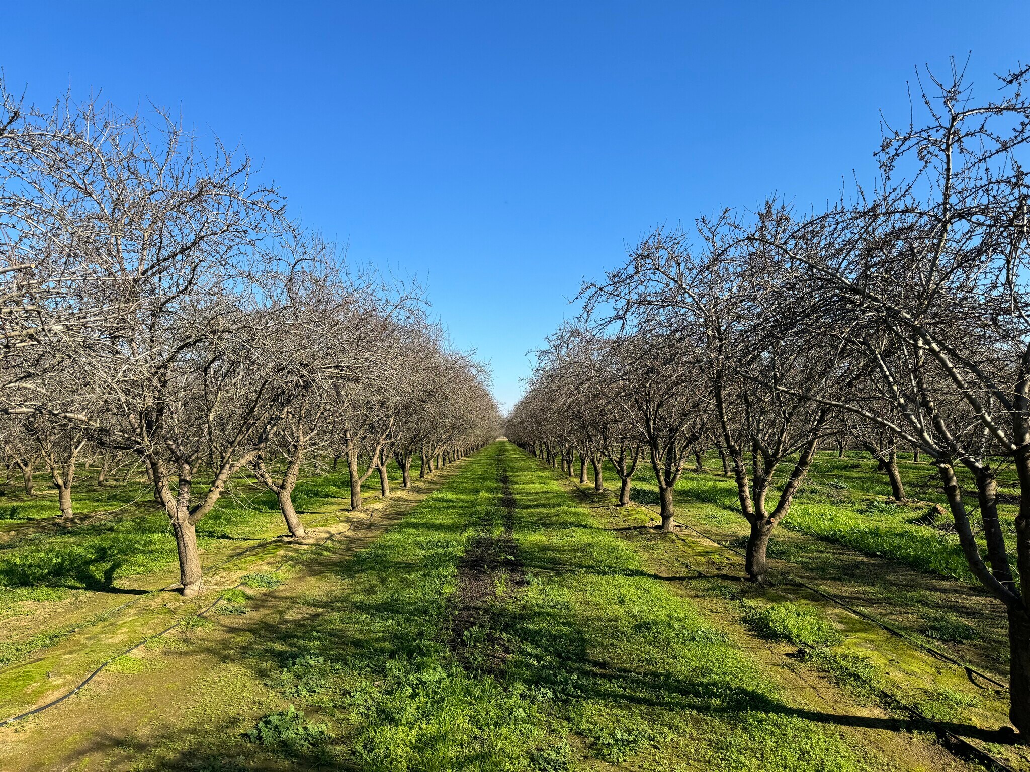 5025 W. Kearney blvd, Fresno, CA for sale Primary Photo- Image 1 of 5