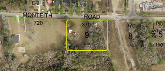 Plus de détails pour 217 Monteith Rd, Savannah, GA - Terrain à vendre