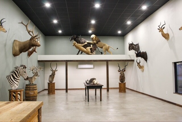 11 W Murrell Ave, Lakeland, GA à vendre Photo du bâtiment- Image 1 de 1