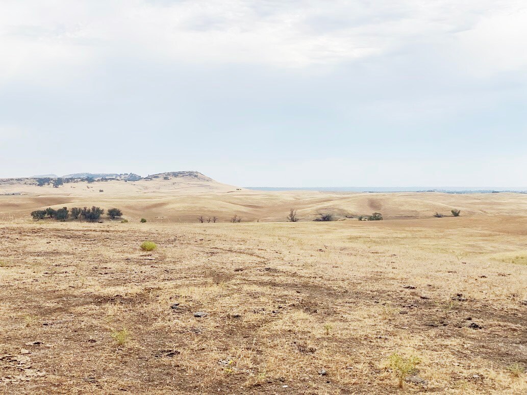 1700 Black Butte Road, Corning, CA for sale Primary Photo- Image 1 of 15
