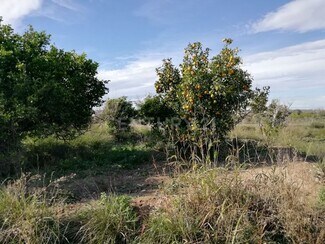 Plus de détails pour Paraje Huerto Naranjos, S/N, Murcia - Terrain à vendre