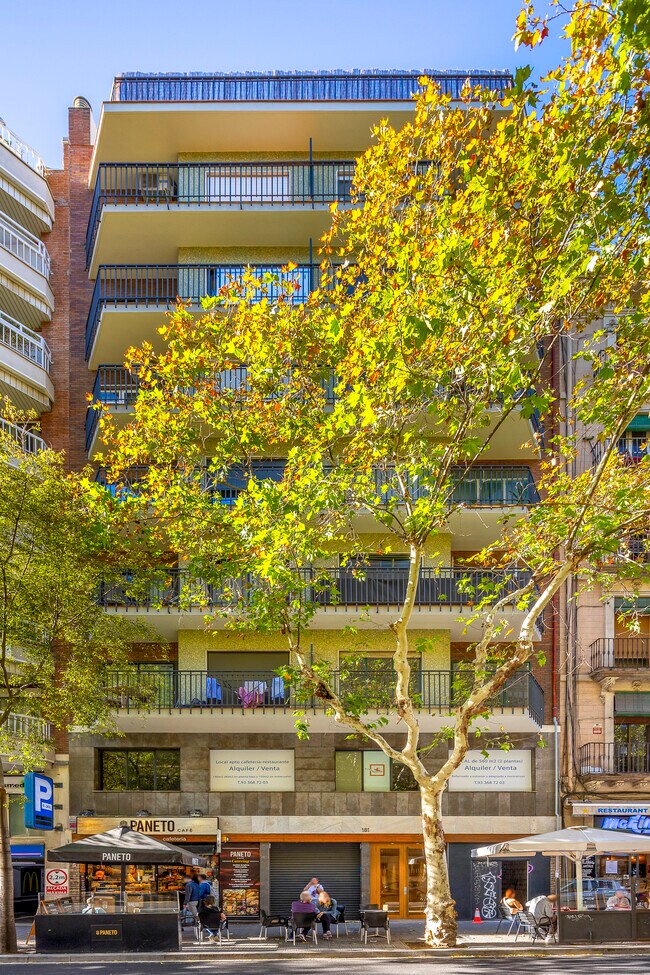 More details for Carrer de Villarroel, 181, Barcelona - Retail for Lease