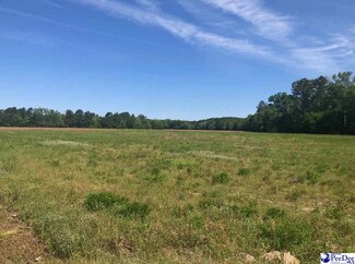 More details for 0 W Bobo Newsom hwy, Hartsville, SC - Land for Sale