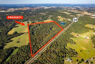 Plus de détails pour highway 24, Trinity, AL - Terrain à vendre