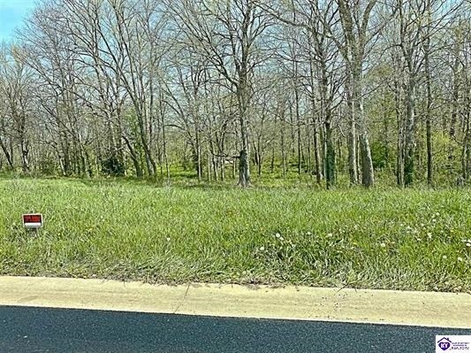 Sawgrass Ave, Vine Grove, KY à vendre - Photo du bâtiment - Image 3 de 3