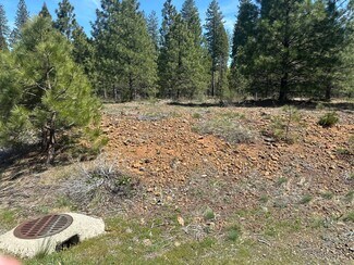 More details for Lot 1 Mount Lassen Woods Dr, Shingletown, CA - Land for Sale