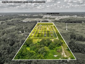 2816 Crystal Springs Rd, Zephyrhills FL - Vignoble