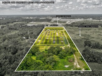 Plus de détails pour 2816 Crystal Springs Rd, Zephyrhills, FL - Spécialité à vendre