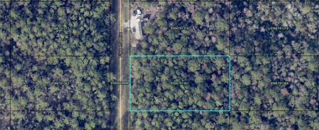 More details for 10530 Flikkema ave, Hastings, FL - Land for Sale