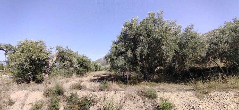 Land in Calasparra, Murcia for sale - Site Plan - Image 2 of 4