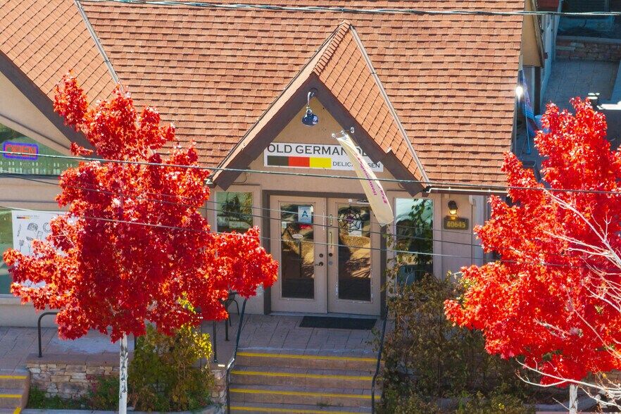 40645 Village Dr, Big Bear Lake, CA à vendre - Photo du bâtiment - Image 3 de 5