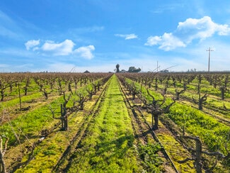 Plus de détails pour 14248 Peltier rd, Acampo, CA - Terrain à vendre