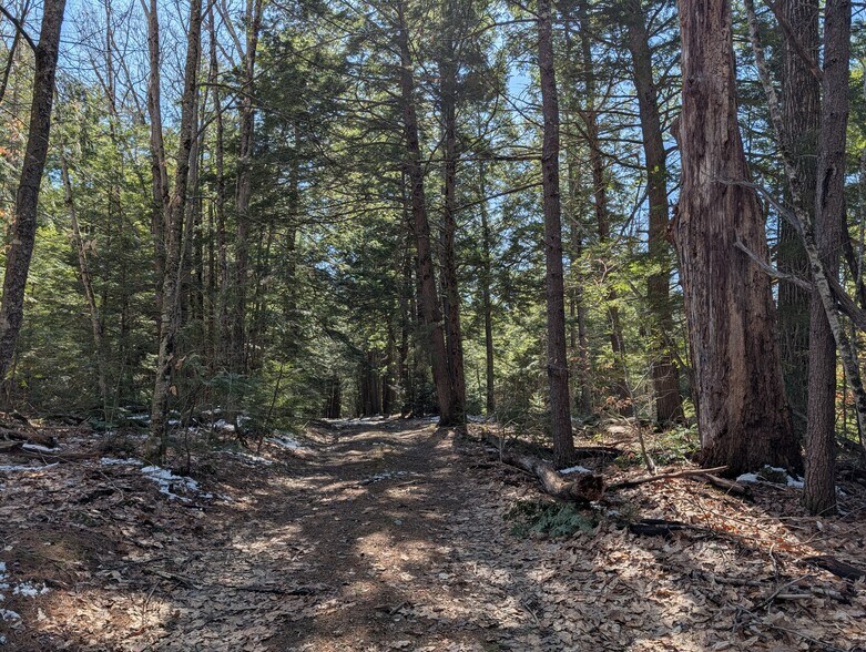 Lot 16 Route 107 Hwy, Barnstead, NH à vendre - Photo du bâtiment - Image 2 de 34